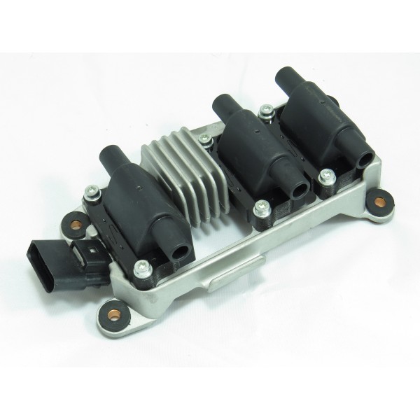 This is an Ignition Coil Pack for 2002 Volkswagen Passat 2.8L 6 Cyl. The ICM is built into this coil pack.